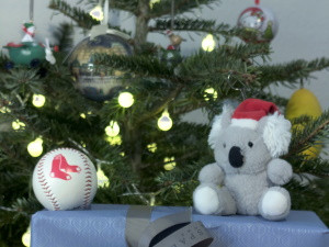 Focus Type: Object detector - Teddy bear focused