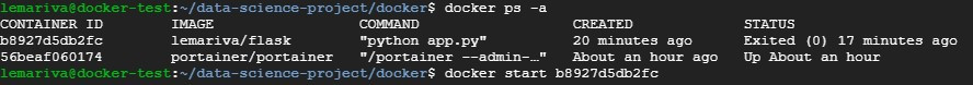 Docker Restart stopped container