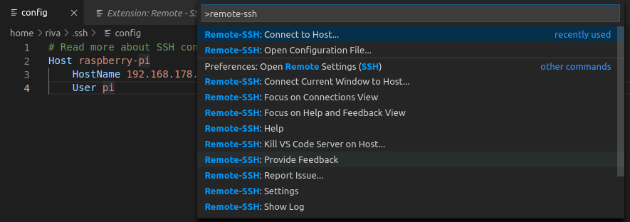Remote-SSH to connect to the Raspberry Pi