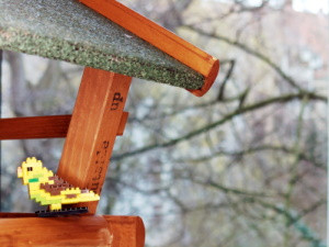 Focus Type: Box - Nanoblock bird focused. Diff. illum & cam. aperture
