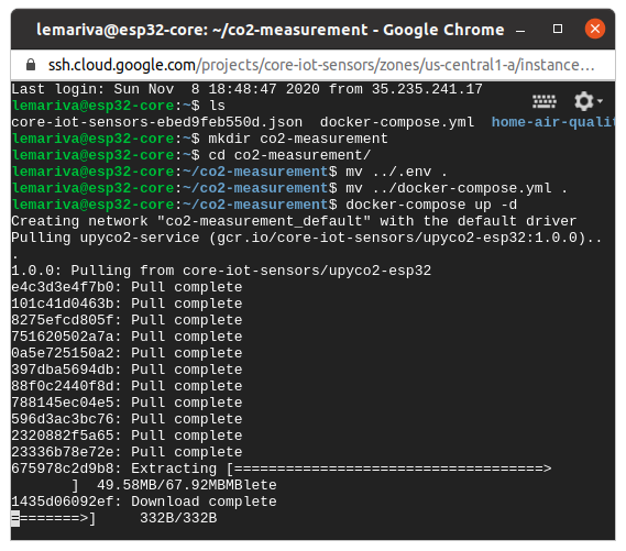 Starting the microservice application