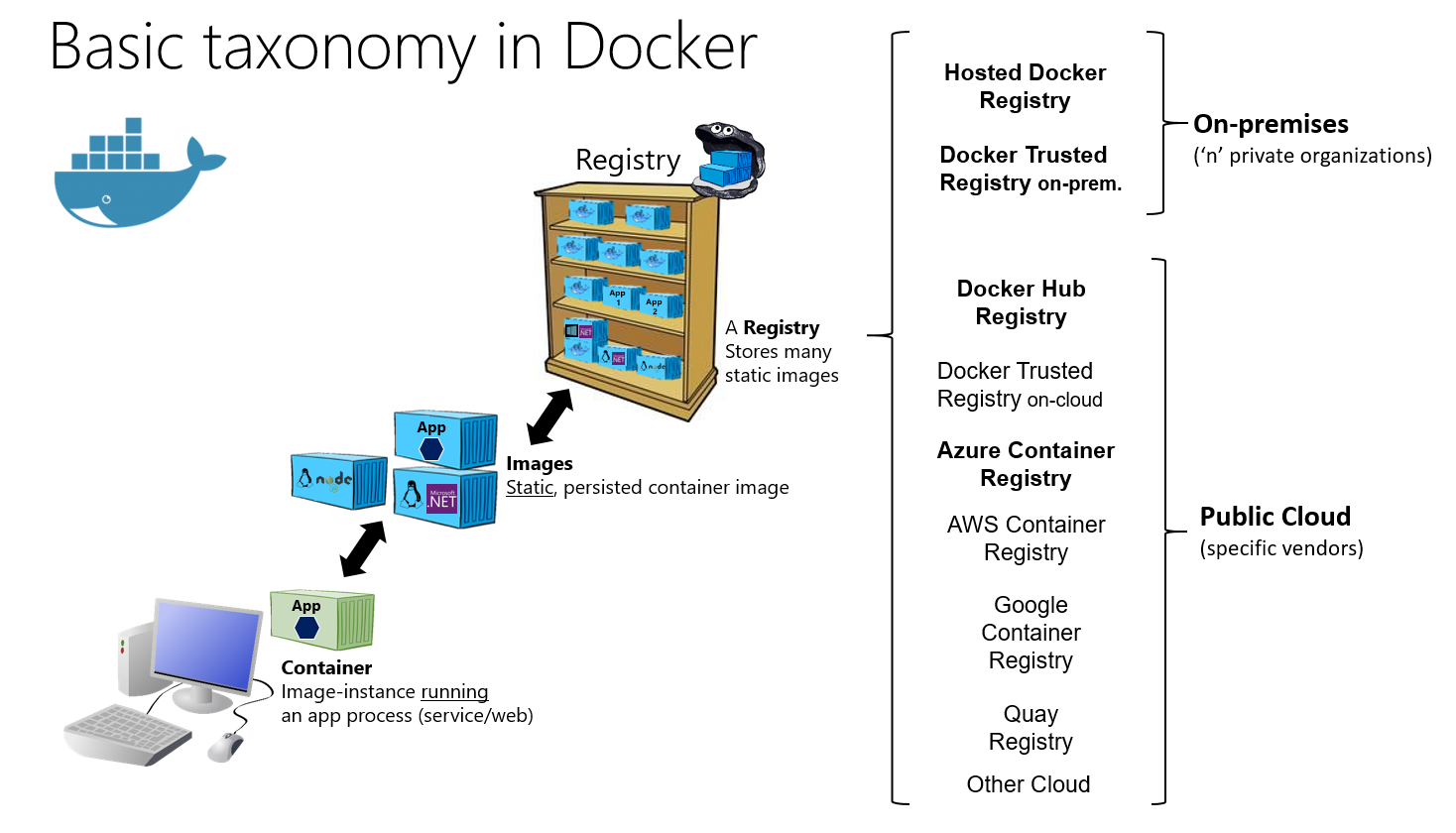 Basic Taxonomy in Docker
